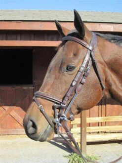 Nunn Finer Leather Gag Hanger -Equine Worlds nuf gag hanger 791 31013 66840.1601482013