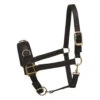 Perri's Nylon Lunge Cavesson -Equine Worlds nylon lunge halter black 805H perris 26069.1684772374