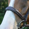 Red Barn Ocala Wide Contour Bridle