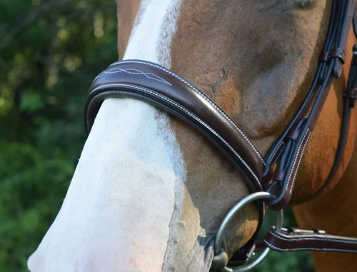 Red Barn Ocala Wide Contour Bridle 3 Red Barn Ocala Wide Contour Bridle