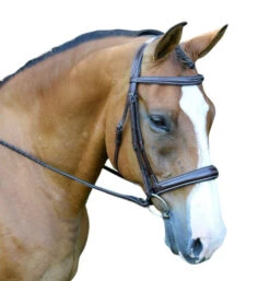 Red Barn Ocala Wide Contour Bridle 8 Red Barn Ocala Wide Contour Bridle -Equine Worlds ocala bridle brown white red barn 58175.1684371960