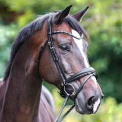 Kavalkade Ocean Snaffle Bridle -Equine Worlds ocean snaffle bridle black navy horse 191 76 blk nvy kavalkade 91430.1680814489
