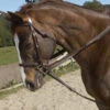 Ovation Stretch Cord Draw Reins -Equine Worlds ovation stretch cord draw reins 2 73056 95347.1527291793