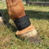 EquiFit Pastern Wraps -Equine Worlds pastern wrap regular in use equifit 61180.1603741258