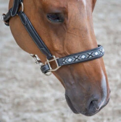 PÉNÉLOPE Pénélope Pearl Leather Halter -Equine Worlds pearl halter black noseband 510 311 315 penelope 50093.1690498320