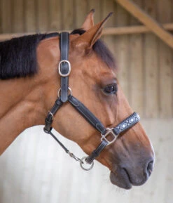 PÉNÉLOPE Pénélope Pearl Leather Halter -Equine Worlds pearl halter black side 510 311 315 penelope 19787.1688685436