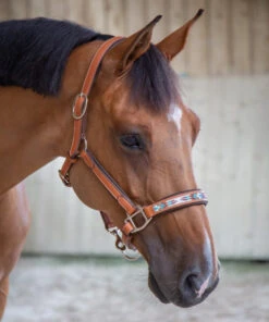 PÉNÉLOPE Pénélope Pearl Leather Halter -Equine Worlds pearl halter cognac 510 311 302 penelope 76617.1688687936