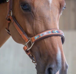 PÉNÉLOPE Pénélope Pearl Leather Halter -Equine Worlds pearl halter cognac noseband1 510 311 302 penelope 65794.1688687941