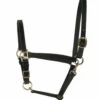 Perri's 3/4-Inch Leather Turnout Halter 1 Perri's 3/4-Inch Leather Turnout Halter -Equine Worlds perri s 3 4 inch leather turnout halter 1 92560 01541.1527297524