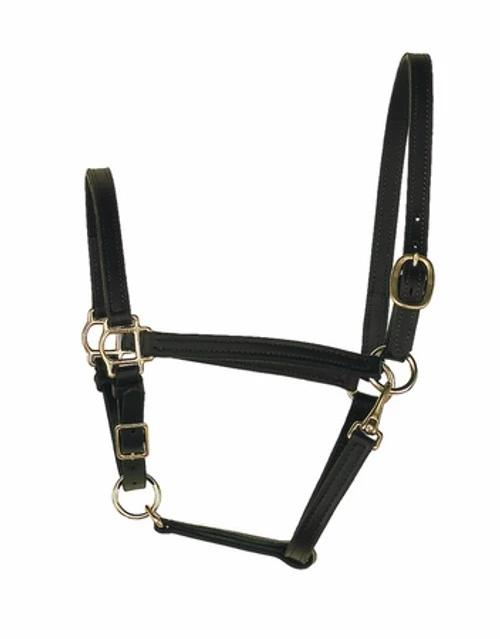 Perri's 3/4-Inch Leather Turnout Halter 2 Perri's 3/4-Inch Leather Turnout Halter