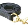 Perri's Leather Lead With Brass Snap -Equine Worlds perri s leather lead with brass snap 1 63908 05115.1527293486