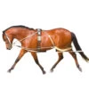 Pessoa Lunging System -Equine Worlds pessoa lunging system pony 460300 pessoa 98814.1641427912