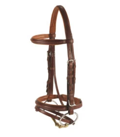Vespucci Plain Raised Jump Bridle