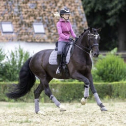 LeMieux Polo Bandages -Equine Worlds polo bandages grey horse 9839 lemieux 08848.1670613727