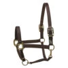Perri's Premium Nylon Safety Halter -Equine Worlds premium nylon safety halter black 150HBL perris 43207.1684804357