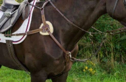 Henri De Rivel Pro 5-Point Elastic Breastplate -Equine Worlds pro 5 point elastic breastplate australian nut horse 5098 08 hdr 83155.1672253974