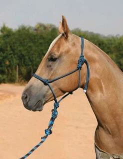 Professional's Choice Rope Halter With 10 Foot Lead 12 Professional's Choice Rope Halter With 10 Foot Lead -Equine Worlds professional s choice rope halter with 10ft lead 1 67619 07307.1537223883