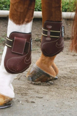 Professional's Choice VenTECH Leather Ankle Jump Boot -Equine Worlds professional s choice ventech leather ankle jump boot 1 96948 87123.1527293487