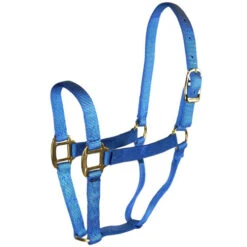 Hamilton Quality 1" Nylon Halter -Equine Worlds quality 1in nylon halter berry blue 1Q BY hamilton 67147.1685665703