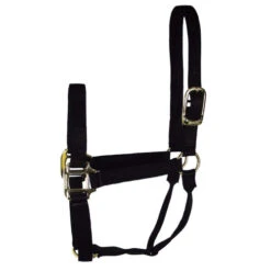 Hamilton Quality 1" Nylon Halter -Equine Worlds quality 1in nylon halter black 1Q hamilton 13858.1685665721
