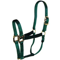 Hamilton Quality 1" Nylon Halter