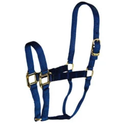 Hamilton Quality 1" Nylon Halter -Equine Worlds quality 1in nylon halter navy 1Q NV hamilton 21719.1685666724