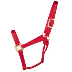 Hamilton Quality 1" Nylon Halter -Equine Worlds quality 1in nylon halter red 1Q hamilton 12014.1685665705
