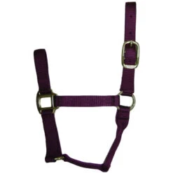 Hamilton Quality 1" Nylon Halter -Equine Worlds quality 1in nylon halter wine 1QWN hamilton 54194.1685665738