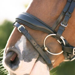 Red Barn Topline Snaffle Bridle -Equine Worlds rb topline snaffle bridle black detail 110612 kl select 36707.1689117918