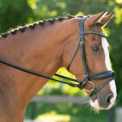 Red Barn Topline Weymouth Bridle -Equine Worlds rb topline snaffle bridle black hero 110612 kl select 84324.1685719588