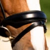 Red Barn Topline Snaffle Bridle