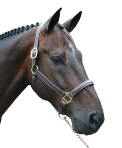 Red Barn Kate Fancy Stitch Halter -Equine Worlds red barn kate halter brown brass W kl select 63727.1682796912