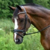Red Barn Pace Snaffle Bridle -Equine Worlds red barn pace snaffle bridle black left kl select 22871.1605304296