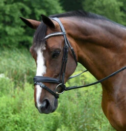 Red Barn Pace Snaffle Bridle