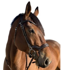Halter Ego Remington Anatomical Jumper Bridle -Equine Worlds remington bridle brown right halter ego 33128.1687997744