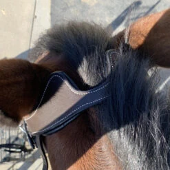 Halter Ego Remington Anatomical Jumper Bridle -Equine Worlds remington bridle crown halter ego 46060.1687997799