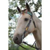 Circle Y Rising Sunflower Brow Headstall -Equine Worlds rising sunflower brow hs brown multicolor lifestyle 1002 10 SC circle y 38157.1613178603