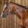 Dy'on Rope Draw Reins -Equine Worlds rope draw reins brown WO08BBR dyon 35988.1626810812