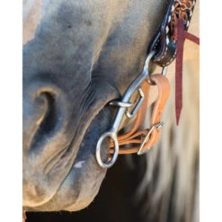 Reinsman Sharon Camarillo Tender Touch Bit -Equine Worlds sc lifesaver bit horse 730 reinsman 27460.1678923949