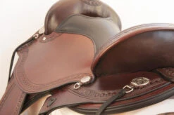 Circle Y Sheridan Flex2 Trail Saddle 1572 -Equine Worlds sheridan left 1572 circle y 77884.1572395404