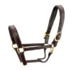 Walsh Signature Pony Halter -Equine Worlds signature halter havana brown brass walsh 17538.1557953983