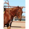 Martin Saddlery String Martingale -Equine Worlds smart String Martingale 600x600 80285.1588629137