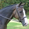 Red Barn Spirit Hunter Bridle