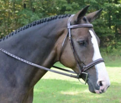 Red Barn Spirit Hunter Bridle -Equine Worlds spirit bridle 2 red barn 52524.1568765828