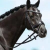 PASSIERBLU Spirit Snaffle Bridle -Equine Worlds spirit snaffle passierblu black horse 825 passier 24710.1690320796