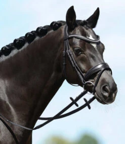 PASSIERBLU Spirit Snaffle Bridle