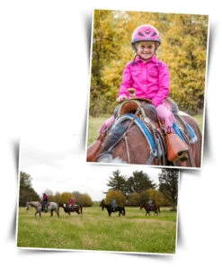 BOOMA Rein Safety Rein -Equine Worlds story 18086 04407.1527296824