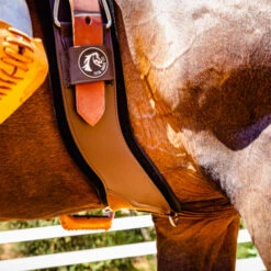 StretchTec Shoulder Relief Cinch -Equine Worlds stretchtec shoulder relief cinch brown side on horse ST SRC 28 BRN BLN total saddle fit 35099.1634504243
