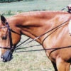 Tory Leather Draw Reins With Loop End -Equine Worlds tory leather draw reins with loop end 12 25543 83058.1527303838