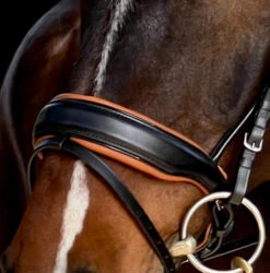 Halter Ego Tuscany Rolled Snaffle Bridle -Equine Worlds tuscany rolled snaffle blk.cognac noseband TUSCANY halter ego 48665.1682624181